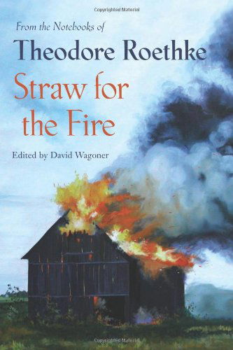 Cover for Theodore Roethke · Straw for the Fire: From the Notebooks of Theodore Roethke (Taschenbuch) (2006)