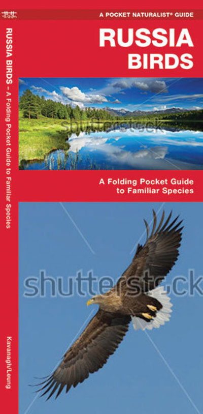 Cover for Kavanagh, James, Waterford Press · Russia Birds: A Folding Pocket Guide to Familiar Species - Nature Observation International (Pamphlet) (2020)