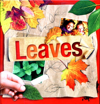 Cover for Steffi Cavell-Clarke · Leaves - Plant Parts (Hardcover Book) (2017)