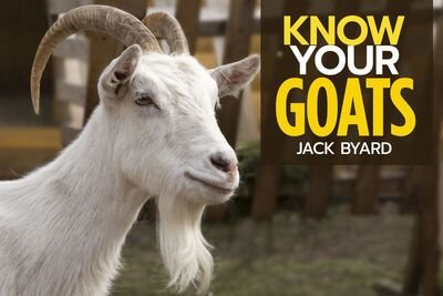 Cover for Jack Byard · Know Your Goats (Paperback Book) (2019)