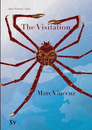 Visitation - Marc Vincenz - Livros - SurVision Books - 9781912963485 - 22 de fevereiro de 2024