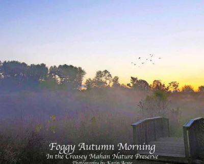 Cover for Karin Acree · Foggy Autumn Morning (Hardcover Book) (2019)