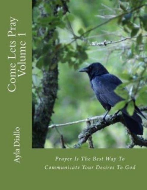 Cover for Ayla Diallo · Come Lets Pray Volume 1 (Pocketbok) (2018)
