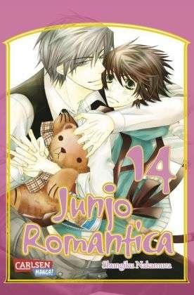 Cover for Nakamura · Junjo Romantica.14 (Book)