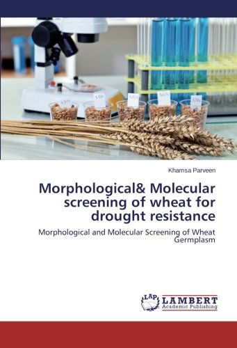 Cover for Khamsa Parveen · Morphological&amp; Molecular Screening of Wheat for Drought Resistance: Morphological and Molecular Screening of Wheat Germplasm (Pocketbok) (2014)