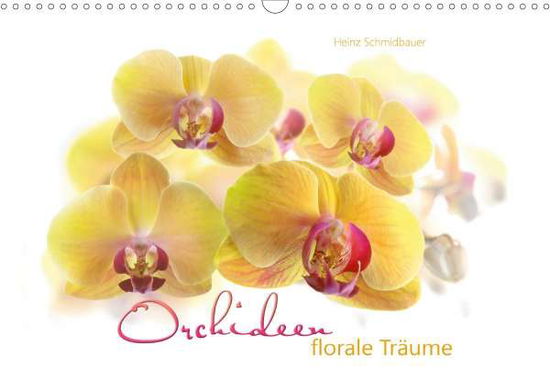 Cover for Schmidbauer · Orchideen florale Träume (W (Book)