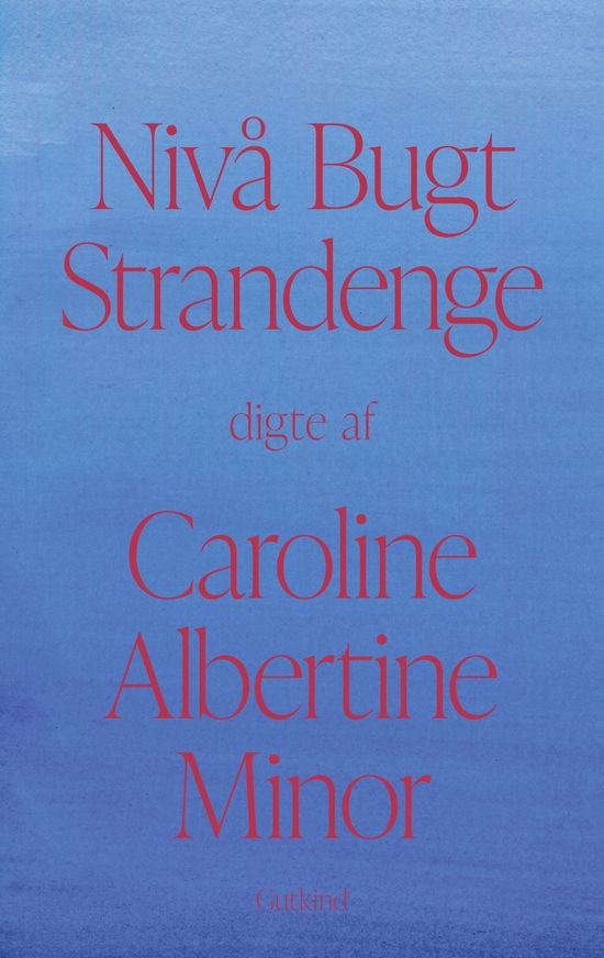 Cover for Caroline Albertine Minor · Nivå Bugt Strandenge (Bound Book) [1e uitgave] (2024)