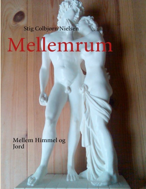 Cover for Stig Colbjørn Nielsen · Mellemrum (Pocketbok) [1. utgave] [Paperback] (2011)