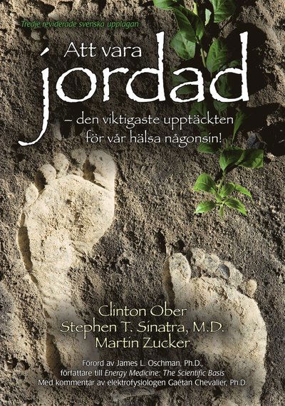 Cover for Martin Zucker · Att vara jordad : den viktigaste upptäckten för vår hälsa någonsin! (Book) (2015)