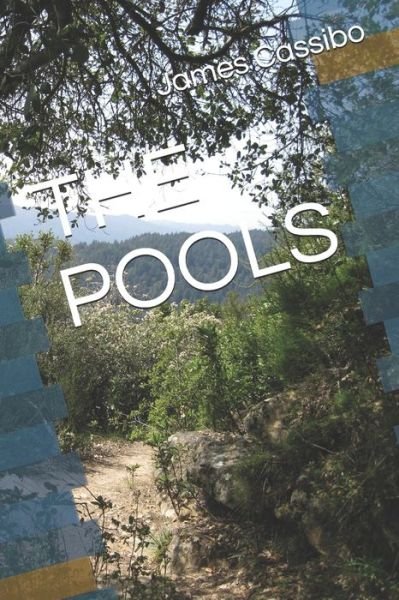 Cover for James Edward Cassibo · The Pools (Paperback Bog) (2021)