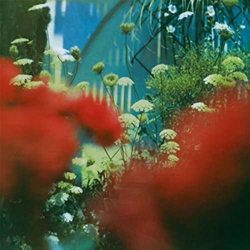Cover for Pulled Apart By Horses · Haze (CD) (2023)