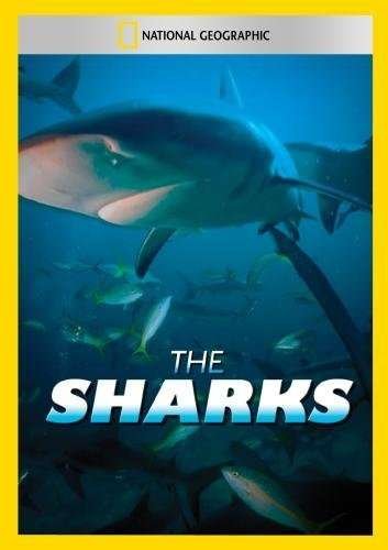 Cover for Sharks (DVD) (2014)