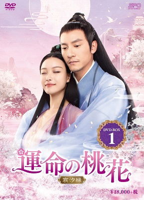 Chang Chen · Love and Destiny (MDVD) [Japan Import edition] (2020)