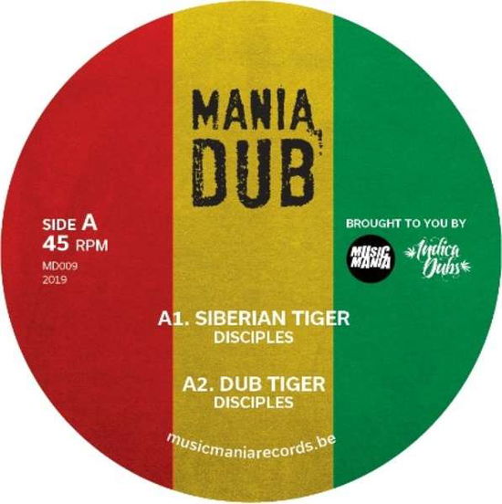 Siberian Tiger / Ease Up - Disciples - Musiikki - MANIA DUB - 8713748985486 - perjantai 12. huhtikuuta 2019