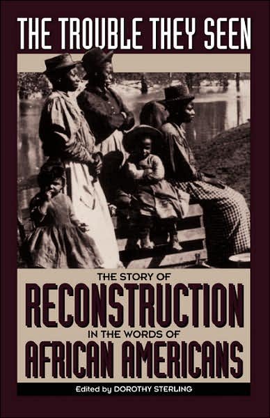 Cover for Dorothy Sterling · The Trouble They Seen: The Story Of Reconstruction In The Words Of African Americans (Paperback Book) (1994)