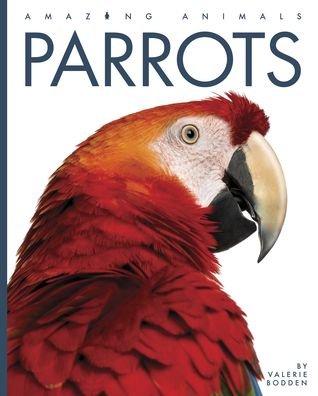 Cover for Valerie Bodden · Parrots (Book) (2022)