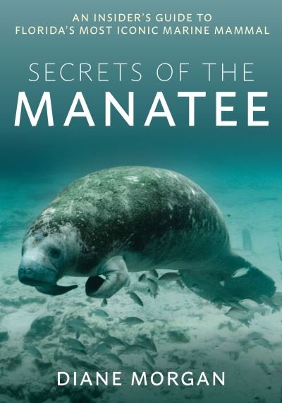 Cover for Diane Morgan · Secrets of the Manatee: An Insider's Guide to Florida’s Most Iconic Marine Mammal (Paperback Book) (2023)