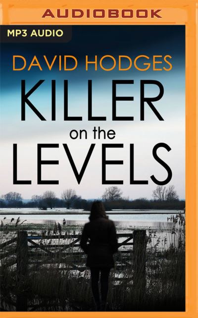 Cover for David Hodges · Killer on the Levels (CD) (2021)