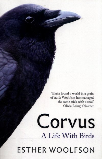 Cover for Esther Woolfson · Corvus: A Life With Birds (Pocketbok) (2018)