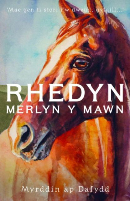 Rhedyn, Merlyn y Mawn - Myrddin ap Dafydd - Boeken - Gwasg Carreg Gwalch - 9781845279486 - 17 mei 2024