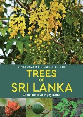 Cover for Gehan De Silva Wijeyeratne · A Naturalist's Guide to the Trees of Sri Lanka - Naturalist's Guide (Pocketbok) (2019)
