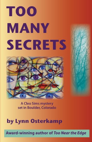 Cover for Lynn Osterkamp · Too Many Secrets (Paperback Book) (2013)