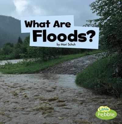 Cover for Mari Schuh · What are Floods? (Wicked Weather) (Paperback Book) (2019)