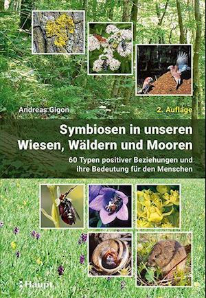 Symbiosen in unseren Wiesen, Wäldern und Mooren - Andreas Gigon - Books - Haupt Verlag AG - 9783258082486 - May 10, 2021