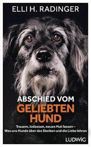 Cover for Elli H. Radinger · Abschied vom geliebten Hund (Hardcover bog) (2022)