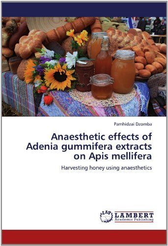 Cover for Pamhidzai Dzomba · Anaesthetic Effects of Adenia Gummifera Extracts on Apis Mellifera: Harvesting Honey Using Anaesthetics (Paperback Book) (2012)