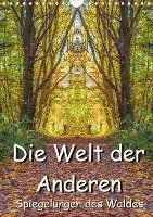 Cover for Döring · Die Welt der Anderen - Spiegelun (Book)