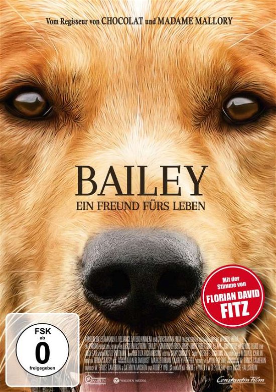 Cover for Britt Robertson,k.j.apa,dennis Quaid · Bailey-ein Freund Fürs Leben (DVD) (2017)