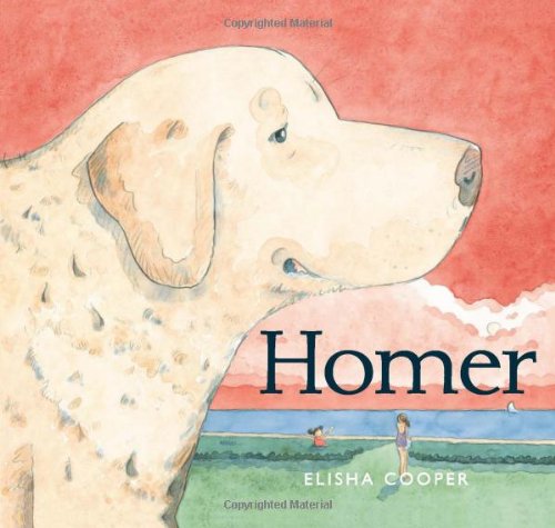 Cover for Elisha Cooper · Homer (Hardcover Book) (2012)