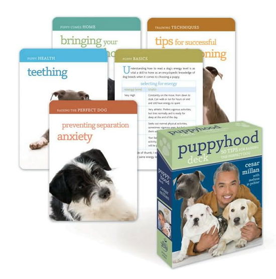 Cover for Cesar Millan · Puppyhood Deck: 50 Tips for Raising the Perfect Dog (Flashkort) [Crds edition] (2010)