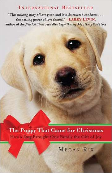 Cover for Megan Rix · The Puppy That Came for Christmas: How a Dog Brought One Family the Gift of Joy (Paperback Book) (2011)