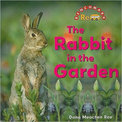 Cover for Dana Meachen Rau · The Rabbit in the Garden (Paperback Book) (2008)