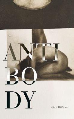 Cover for Chris Williams · Antibody (Paperback Book) (2021)