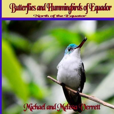 Cover for Michael Verrett · Butterflies and Hummingbirds of Ecuador (Paperback Book) (2016)