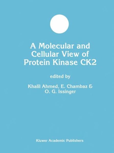 Cover for Khalil Ahmed · A Molecular and Cellular View of Protein Kinase Ck2 (Softcover Reprint of the Origi) (Paperback Bog) [Softcover Reprint of the Original 1st Ed. 1999 edition] (2012)