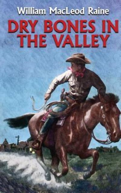 Cover for William Macleod Raine · Dry Bones in the Valley (Paperback Book) (2018)