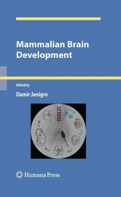Cover for Damir Janigro · Mammalian Brain Development - Contemporary Neuroscience (Paperback Book) [2009 edition] (2012)
