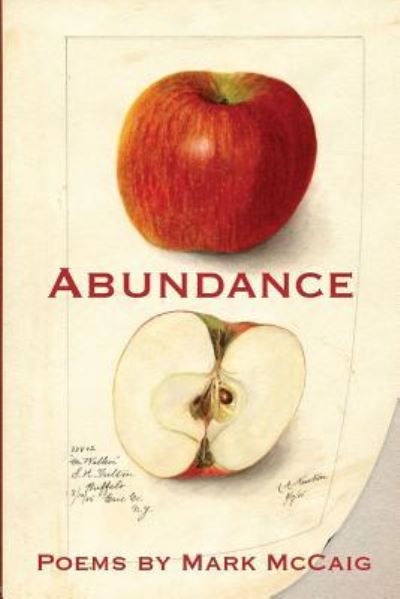 Cover for Mark McCaig · Abundance (Paperback Book) (2017)