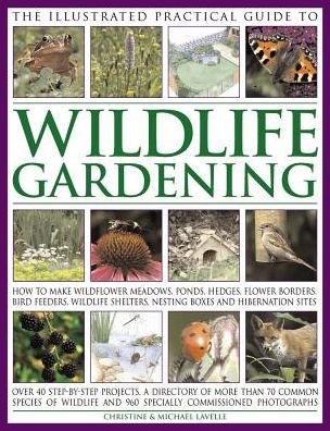 Cover for Christine Lavelle · The Illustrated Practical Guide to Wildlife Gardening: How to Make Wildflower Meadows, Ponds, Hedges, Flower Borders, Bird Feeders, Wildlife Shelters, Nesting Boxes and Hibernation Sites (Taschenbuch) (2017)