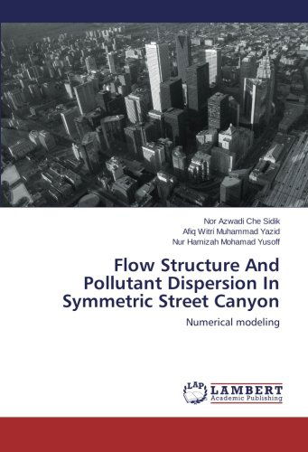 Cover for Nur Hamizah Mohamad Yusoff · Flow Structure and Pollutant Dispersion in Symmetric Street Canyon: Numerical Modeling (Paperback Bog) (2013)