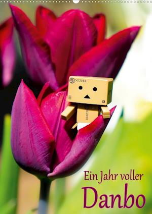 Cover for Moßhammer · Ein Jahr voller Danbo (Wandka (Book)