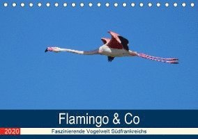 Flamingo & Co - Faszinierende V - Schaack - Livros -  - 9783671406487 - 