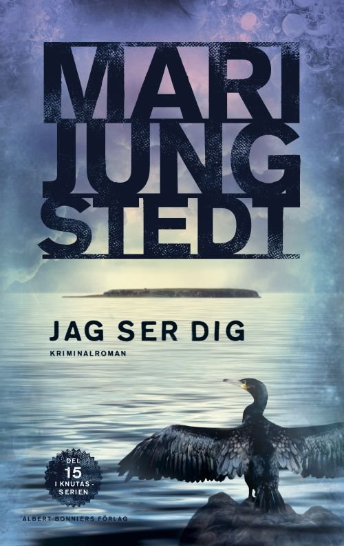 Jag ser dig - Jungstedt Mari - Boeken - Albert Bonniers förlag - 9789100173487 - 4 juni 2019