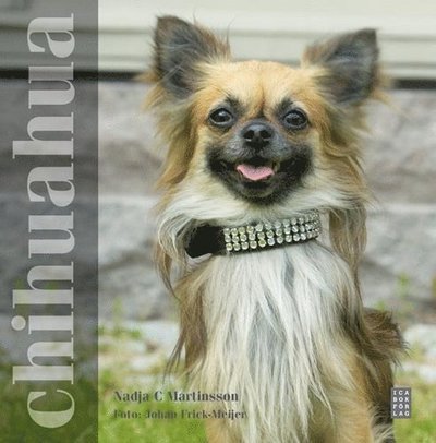 Cover for Nadja C Martinsson · Chihuahua (Bound Book) (2008)