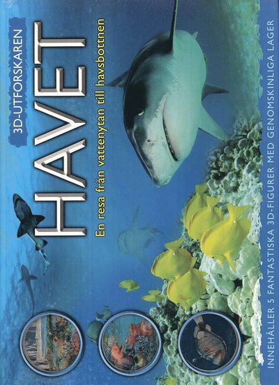 Cover for Jen Green · 3D-utforskaren: Havet : en resa från vattenytan till havsbottnen (Map) (2009)