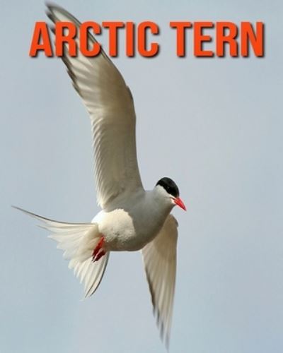 Arctic Tern - William Doyle - Książki - Independently Published - 9798693594487 - 4 października 2020